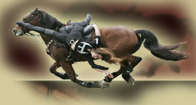 horse stunts